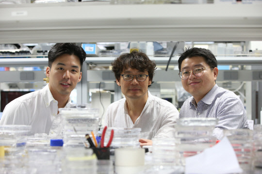 물과 기름에 젖지 않는 대면적 표면을 개발한 KAIST 생명화학공학과 최재호 학생(왼쪽부터), 김희탁 교수, 김신현 교수.  KAIST 제공